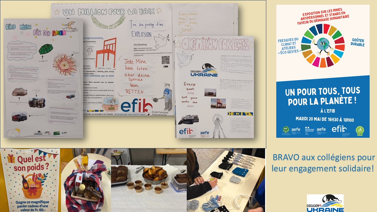 Déminage EFIB - Copie Digger à l'EFIB